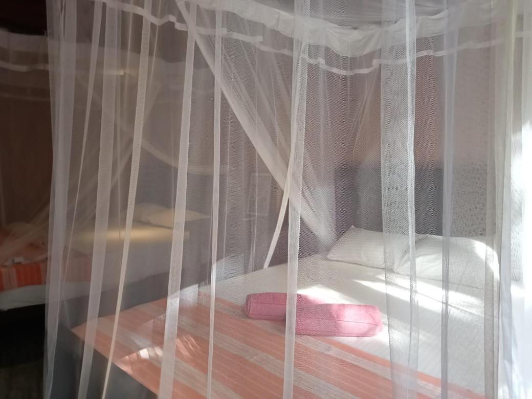 Гостьовий будинок Piumi House Діквелла Екстер'єр фото
