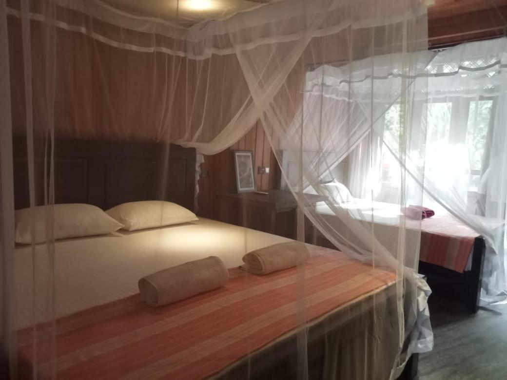 Гостьовий будинок Piumi House Діквелла Екстер'єр фото